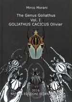 genus_goliathus1.jpg