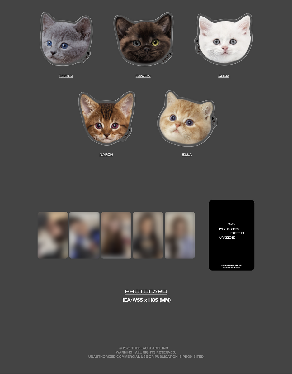 socket2_1200x1200.png?v=1747378712