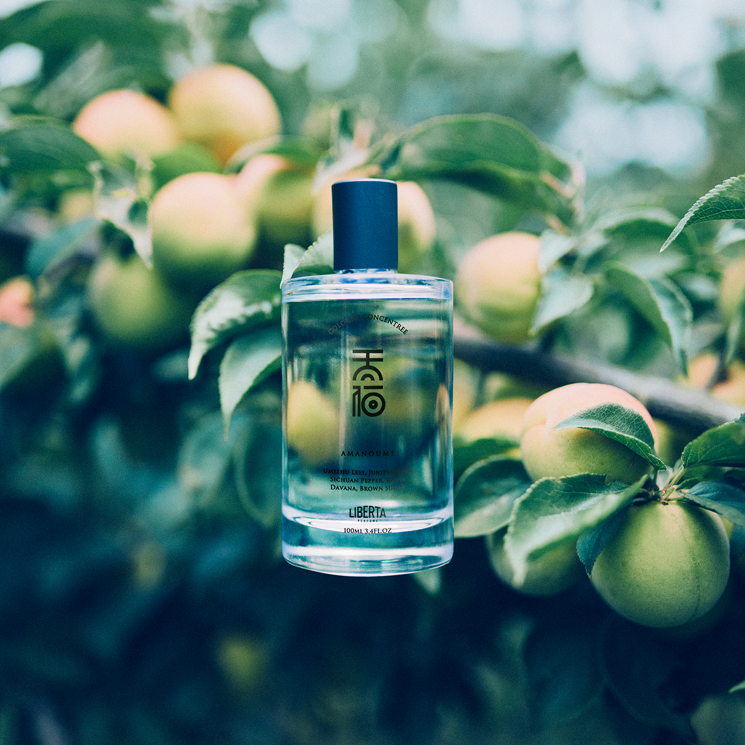 アマノウメ コロンコンサントレ 100ml – Liberta Perfume（リベルタ