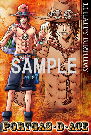 エース バースデーセレブレーション！開催決定！ : ONE PIECE 麦わら