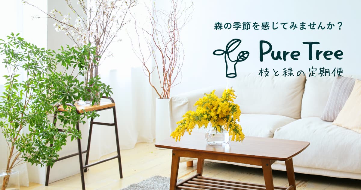 アセビ（馬酔木）