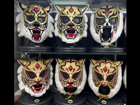 プロレス・マスク・ワールド