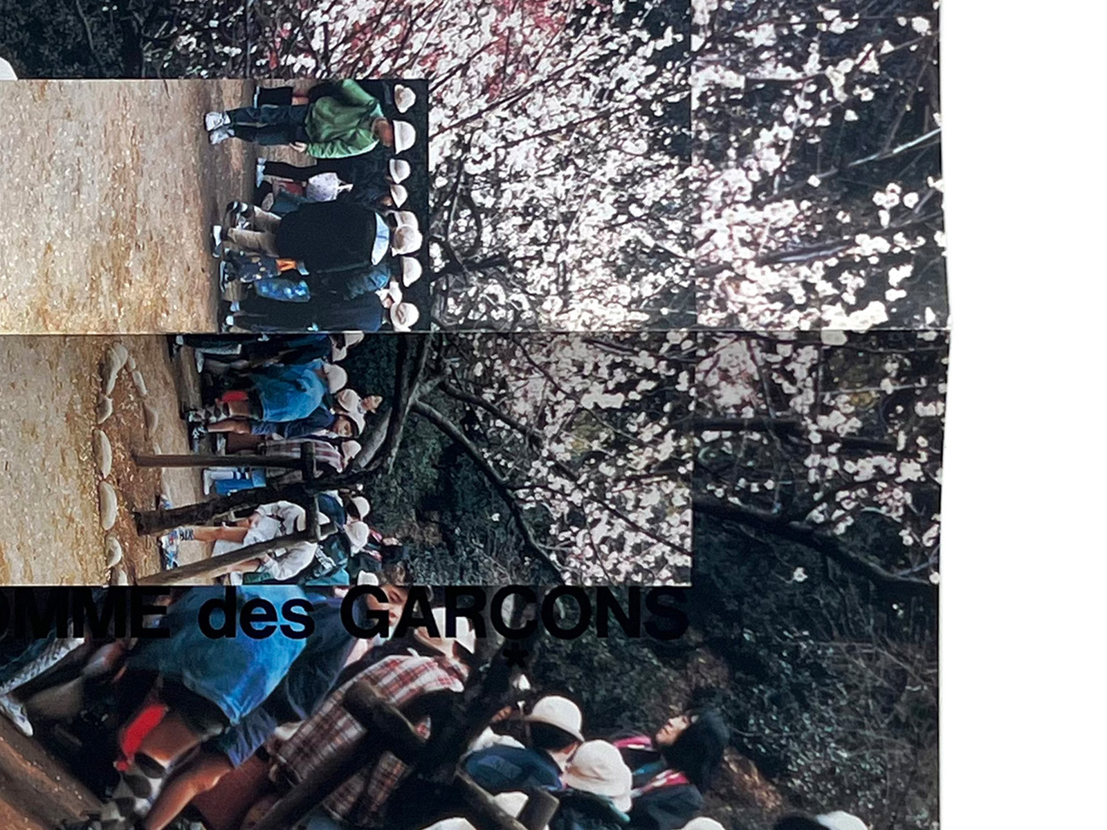 COMME des GARÇONS 1998-99 FW DM Yoshiko Seino | PAGE SPREAD