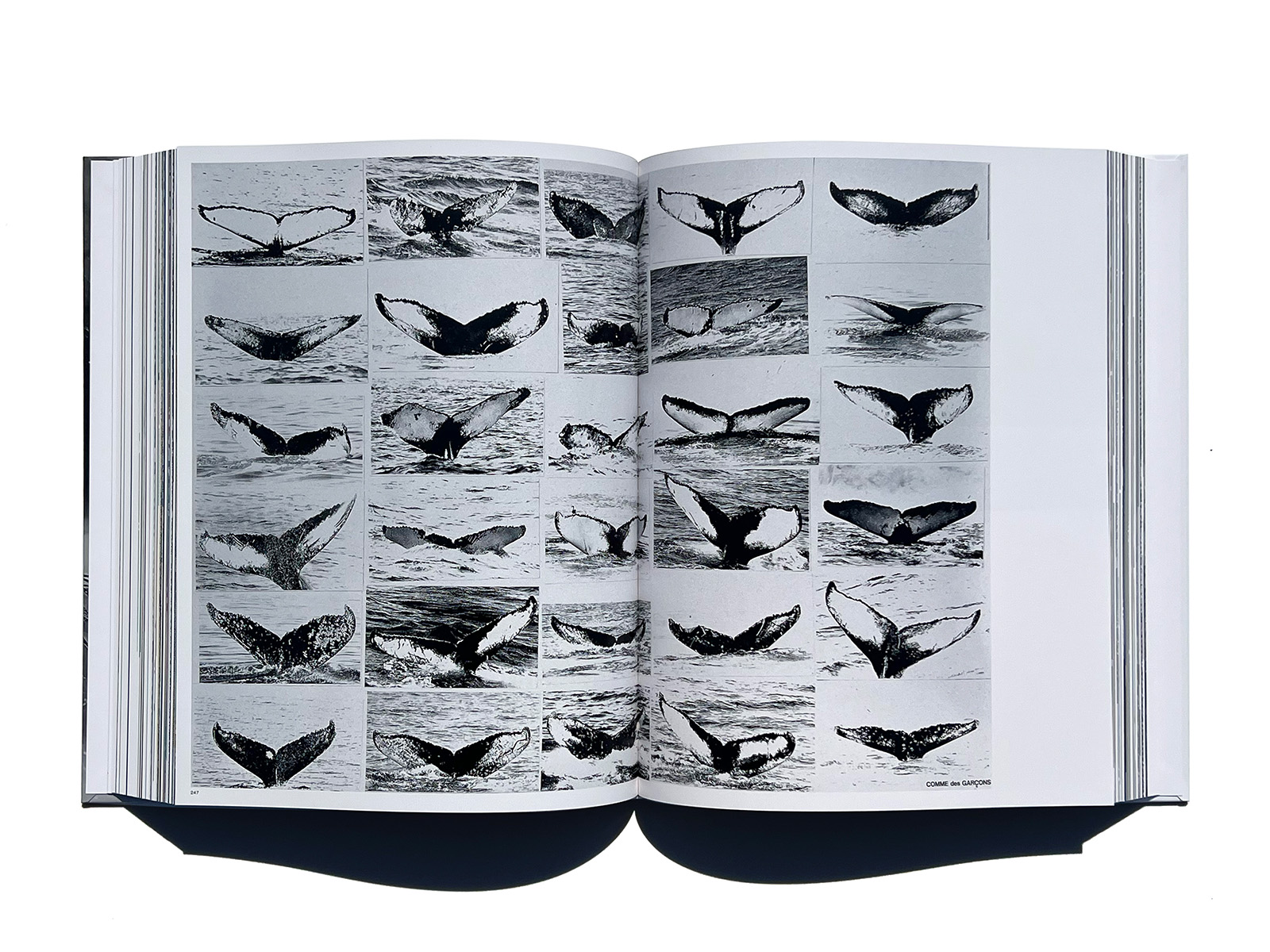 Tsuguya Inoue Graphics 1981-2024 | PAGE SPREAD