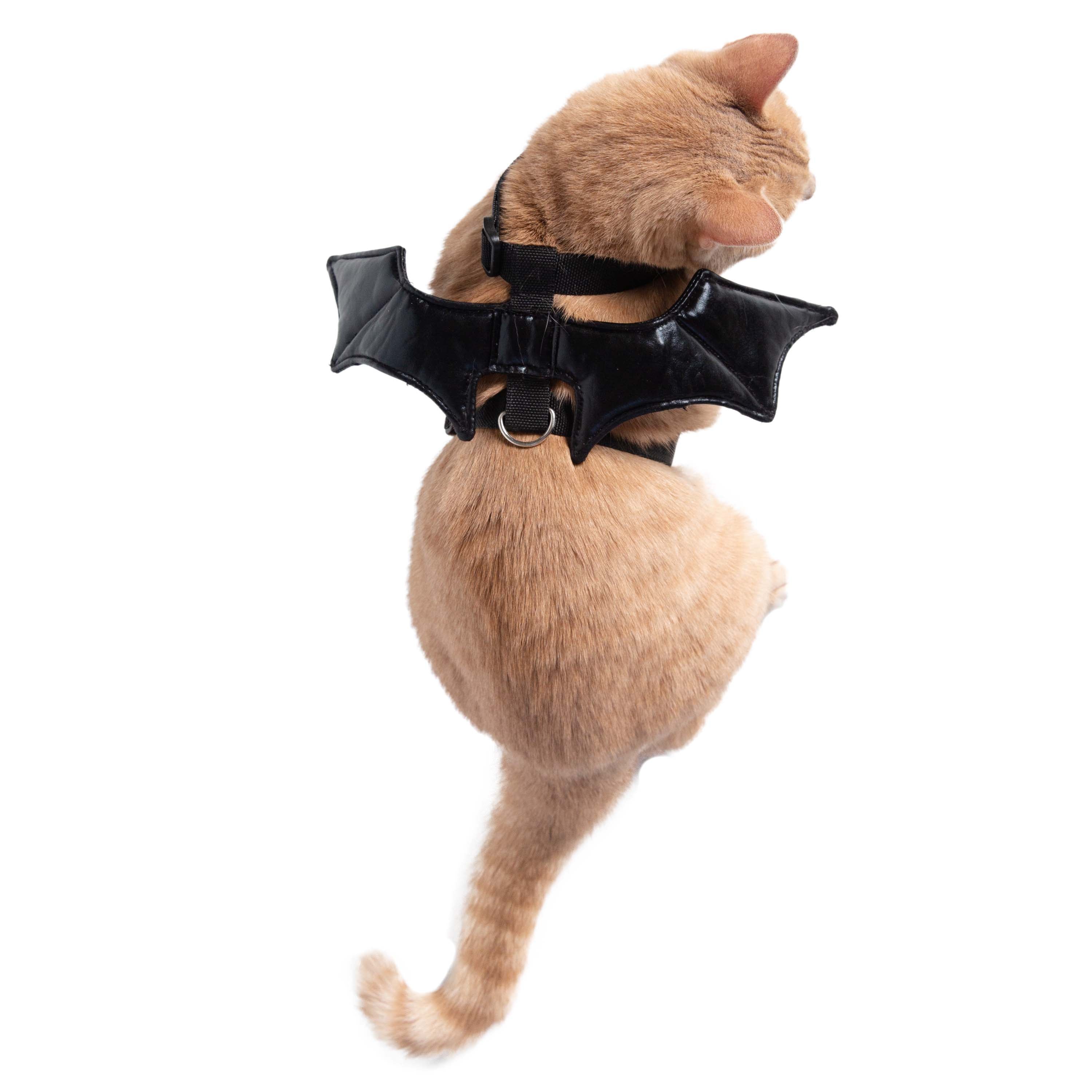 Pet Krewe Cat Bat Wing Harness: Halloween Costume Fun!