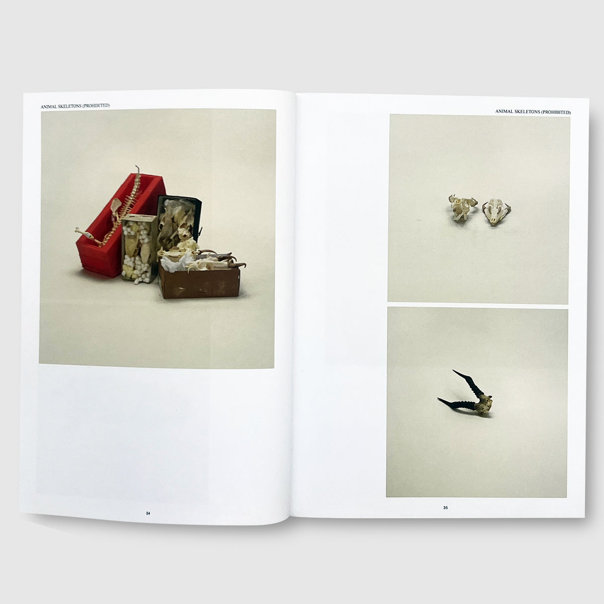 Contraband___02_1200x.jpg?v=