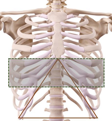 CompressionBand of rfca
