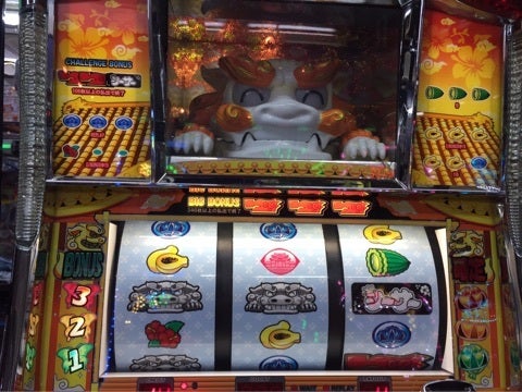 絶滅危惧種を実践しながら語る会⑥〜楽シーサー | 平岡幸（ひらおか