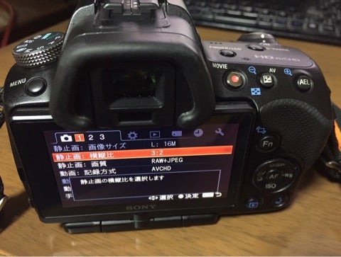 SONY α55 まさか！のAマウントデジタル一眼レフ | 今だからのんびり