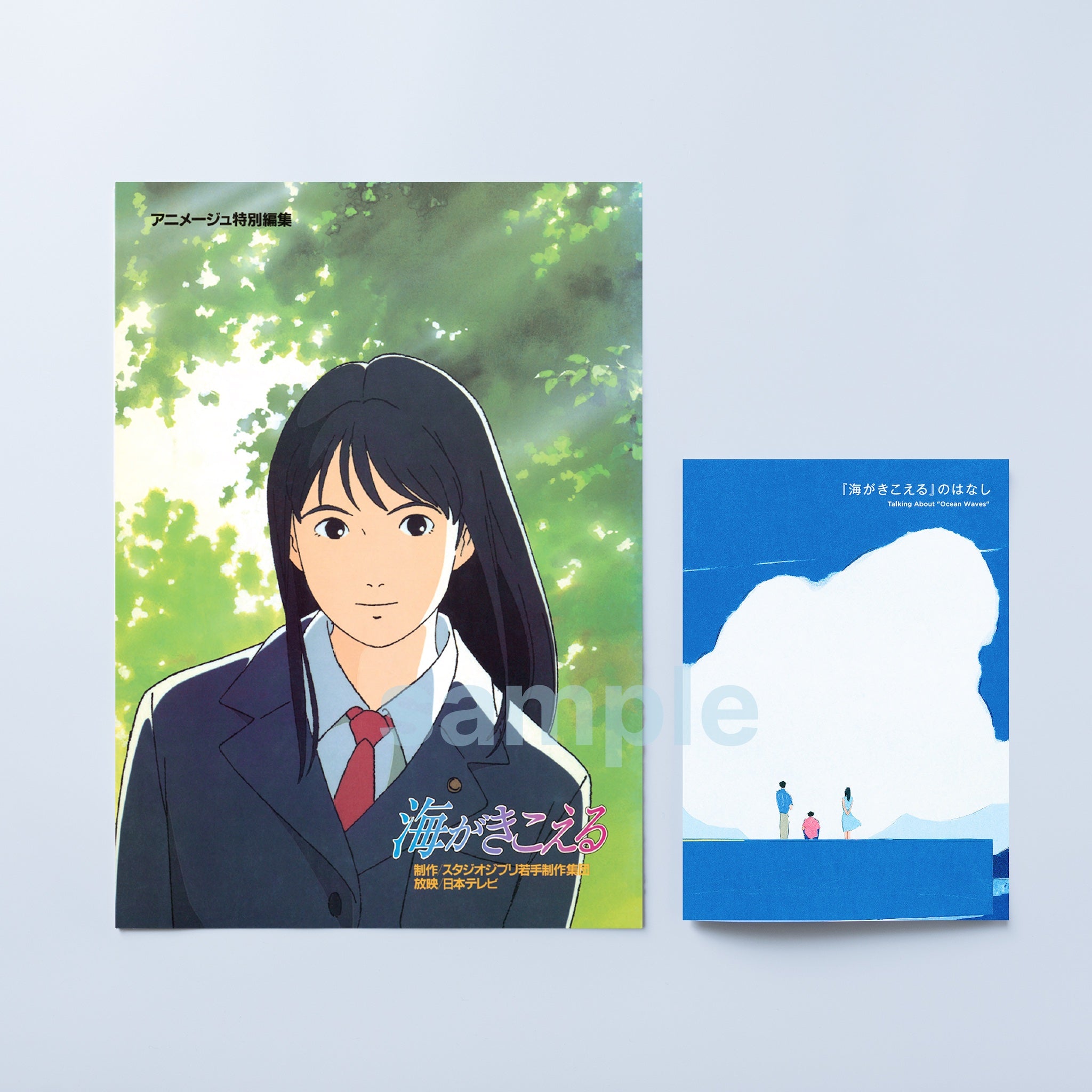 ocean_waves_brochure_zine.jpg?