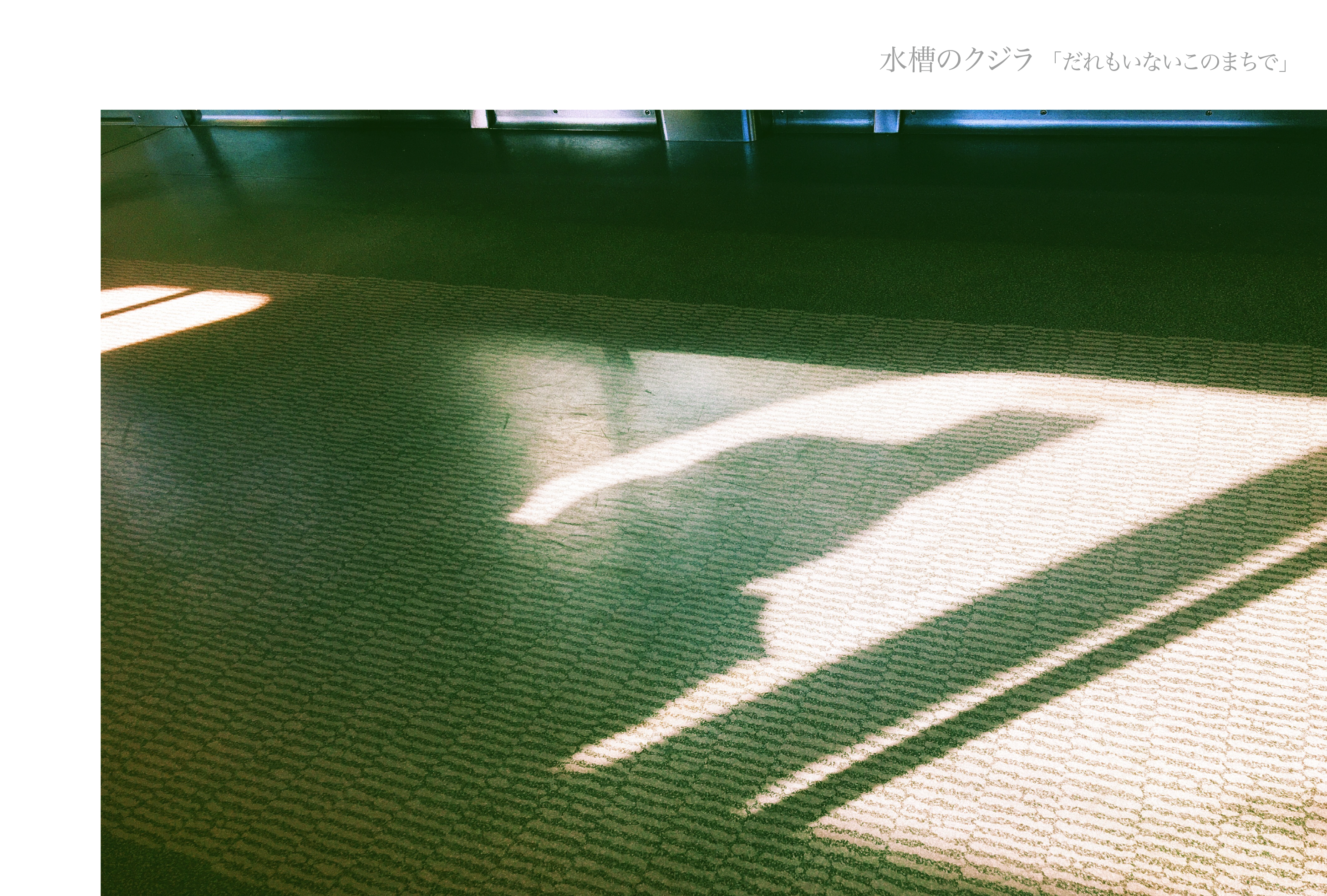 水槽のクジラ Official Website » Discography