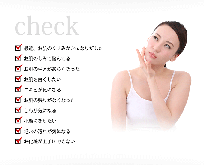 ドクター開発の美顔器 LADY MERRY〈レディメリー〉 | 株式会社