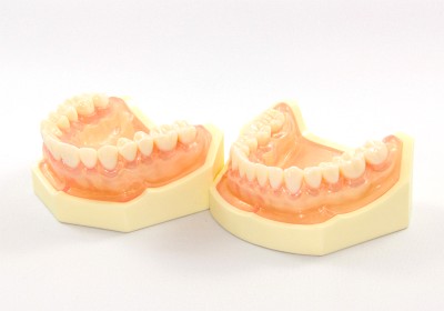 ニッシン 上間モデル シンプルマネキンセット | ショップリンケージ.com