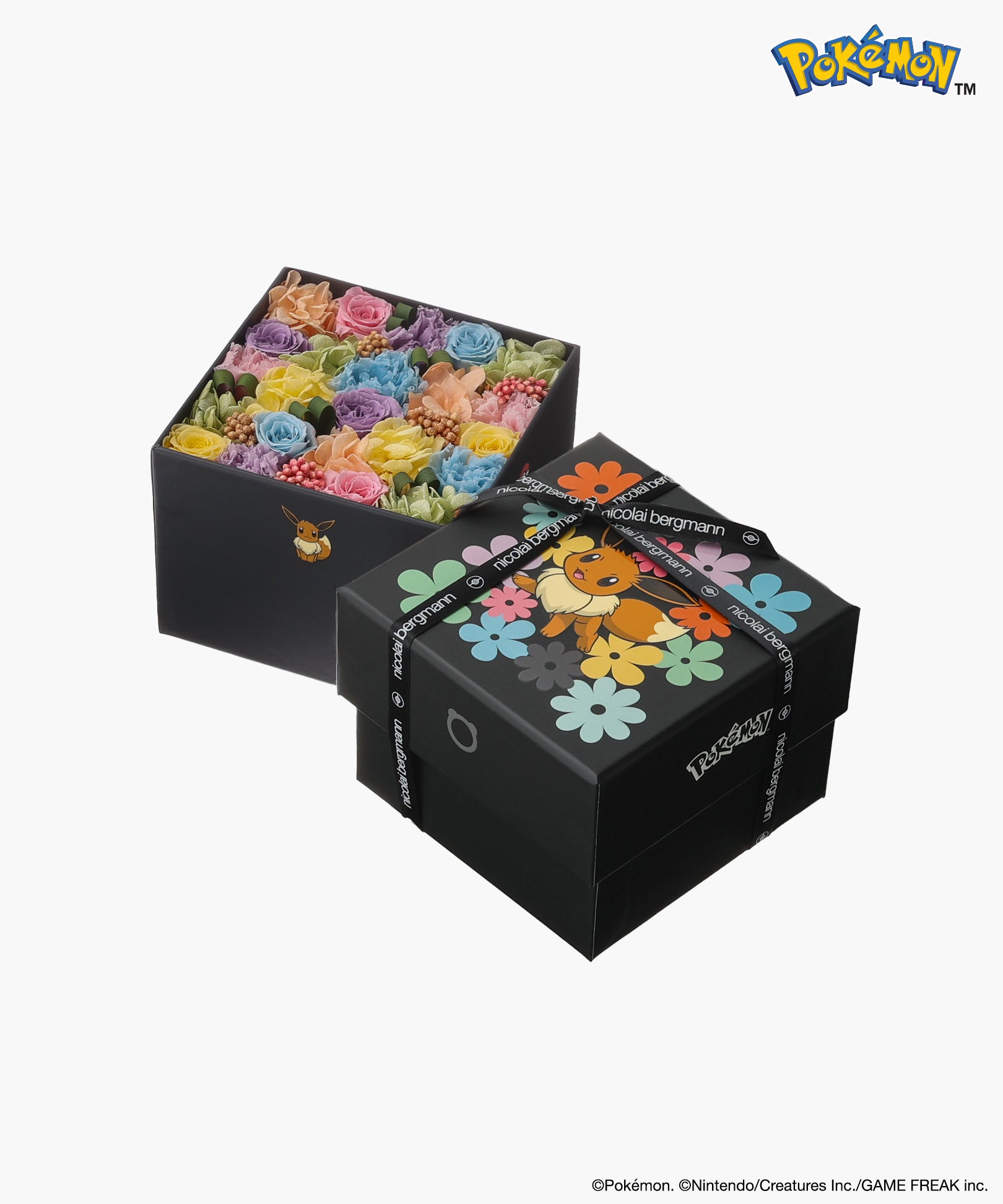 Nicolai Bergmann × Pokémon イーブイ
