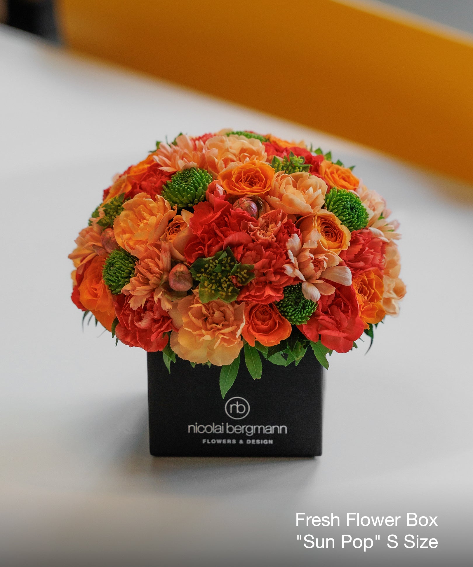 Sun Pop（サン ポップ）