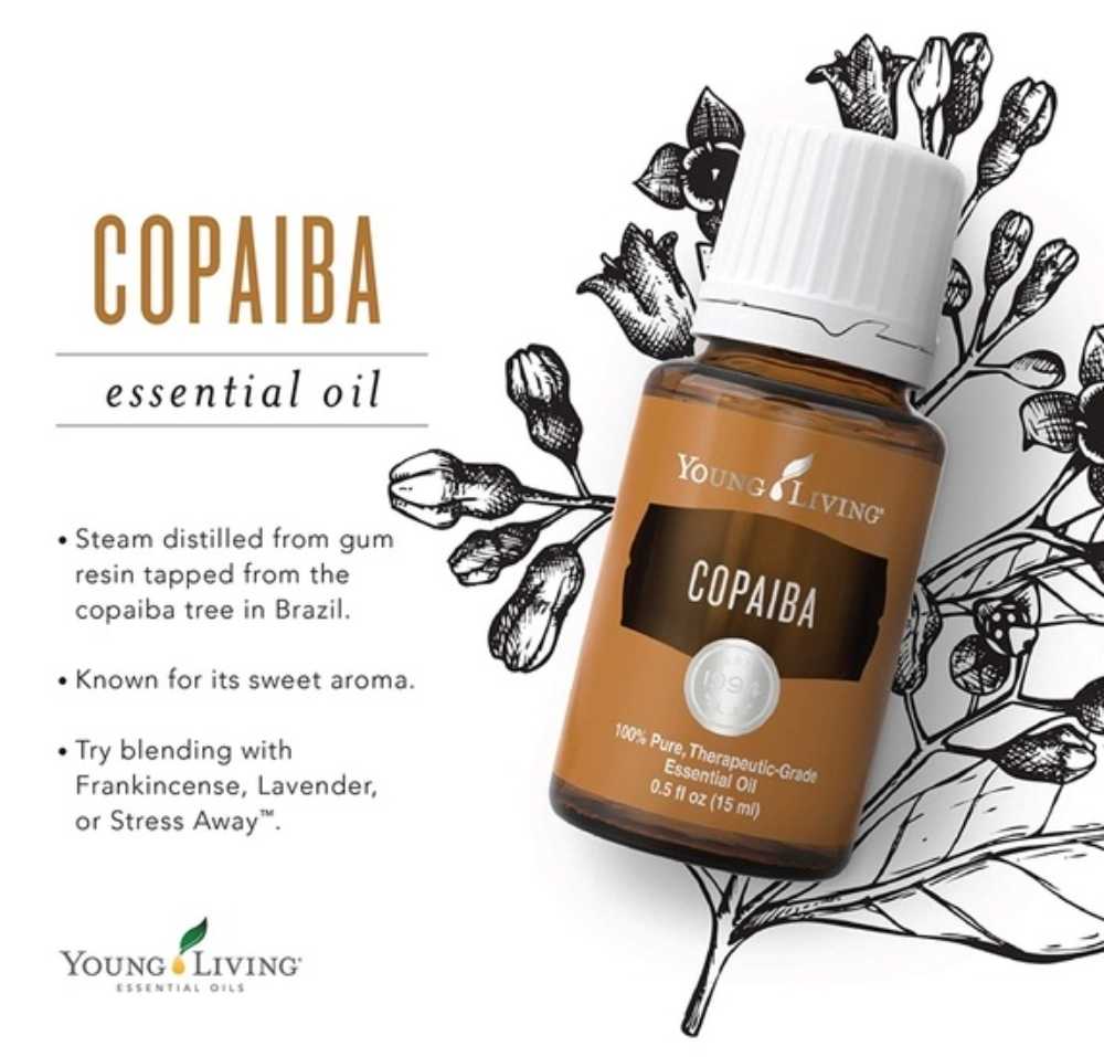 Young Living Copaiba Essential Oil – The Willows Day Spa & Gifts