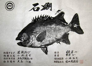 園田釣具店 鹿児島県 枕崎市 中央町264