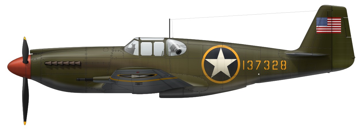 ノースアメリカン P-51A マスタング アキュレイトミニチュア 1/48