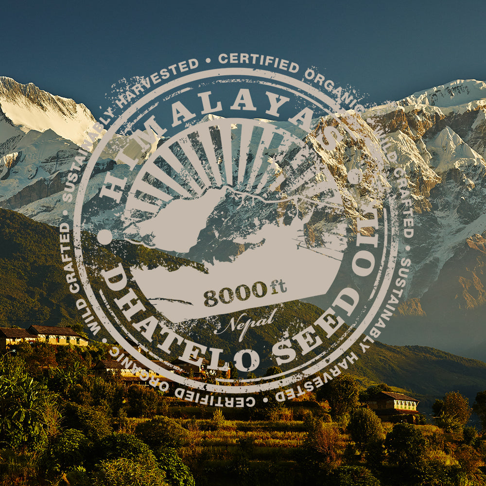 Tweak'd by Nature Yogi-Berry Revitalizing Hair Leave-in Treatment Mist