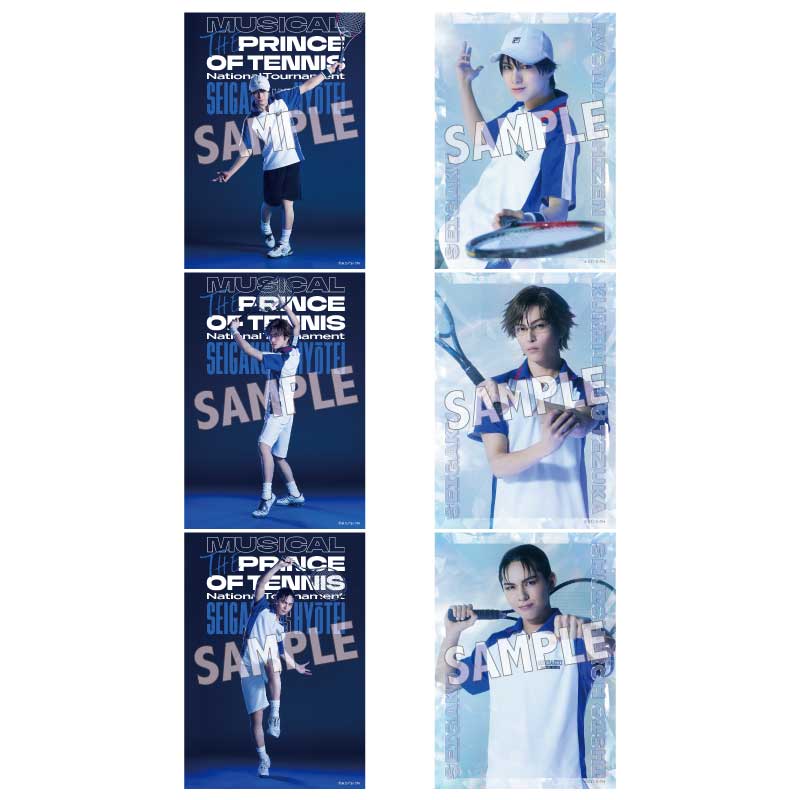 オリジナルブロマイドチームセット青学（せいがく）10セット入り