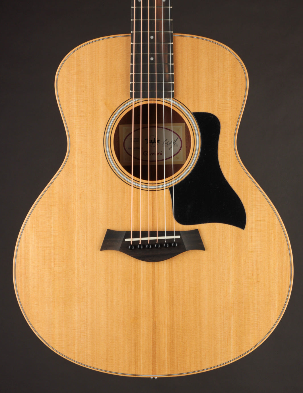 Taylor GS Mini Sapele Acoustic Guitar | The Music Emporium - Buy Now