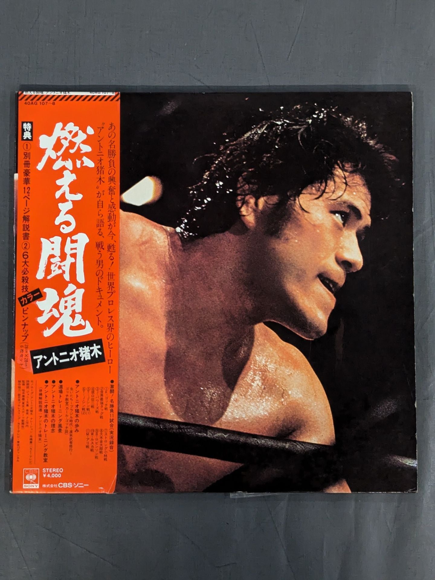 プロ格ヒーローズ vol1シークレット 燃える闘魂 アントニオ猪木 希少