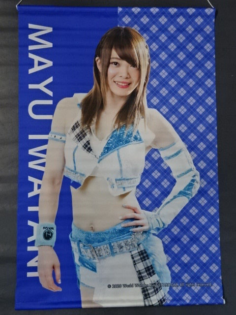 AppBank Store限定 岩谷麻優 タペストリー – 闘道館