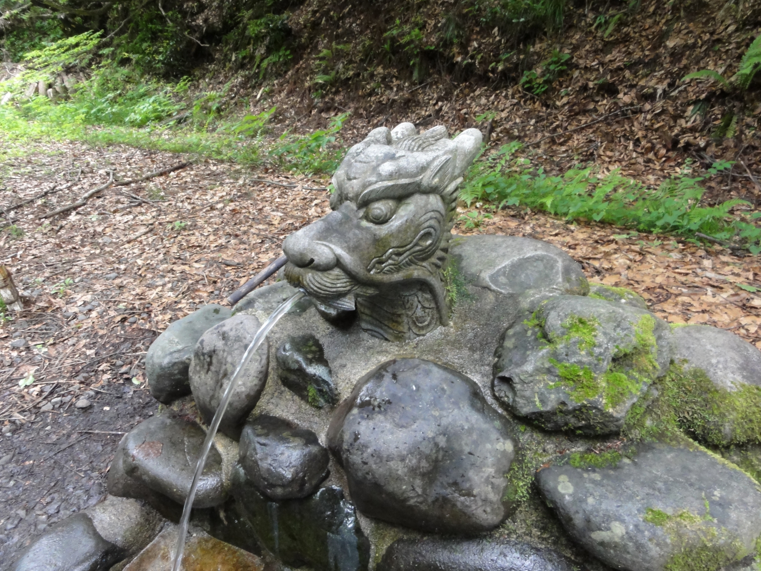 龍ヶ窪の水──自然と神の奇跡の恵み | つなんのツーリズム