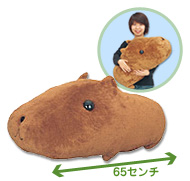 特大サイズのカピバラさん 3月下旬発売予定！ | ぬいぐるみ | グッズ