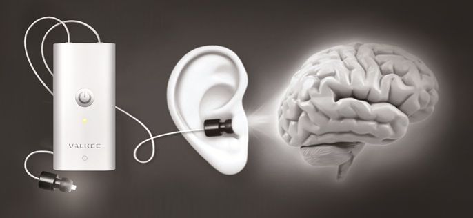 VALKEE JAPAN (バルケージャパン)