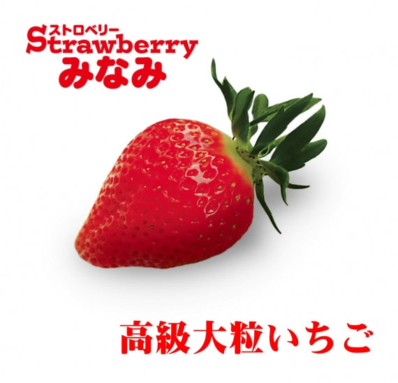 農園直売 こだわりのいちご屋さん ストロベリーみなみ | 47CLUB – 名産