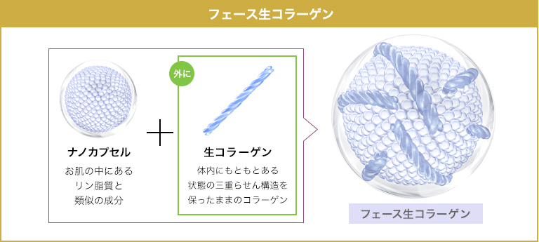 コース案内 | ザ・フェース（THE FAITH）