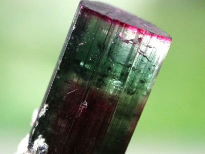 トルマリン結晶原石/バイカラー