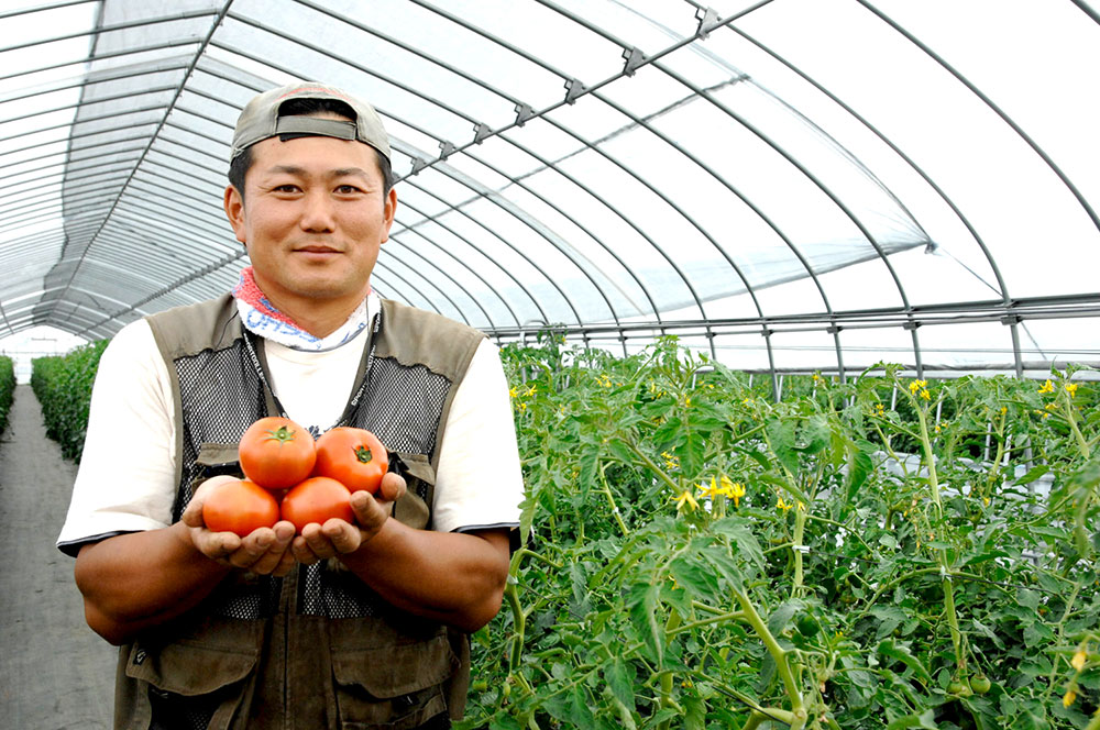 トマトジュース PRIZE｜JOINの取扱商品【株式会社JOIN】