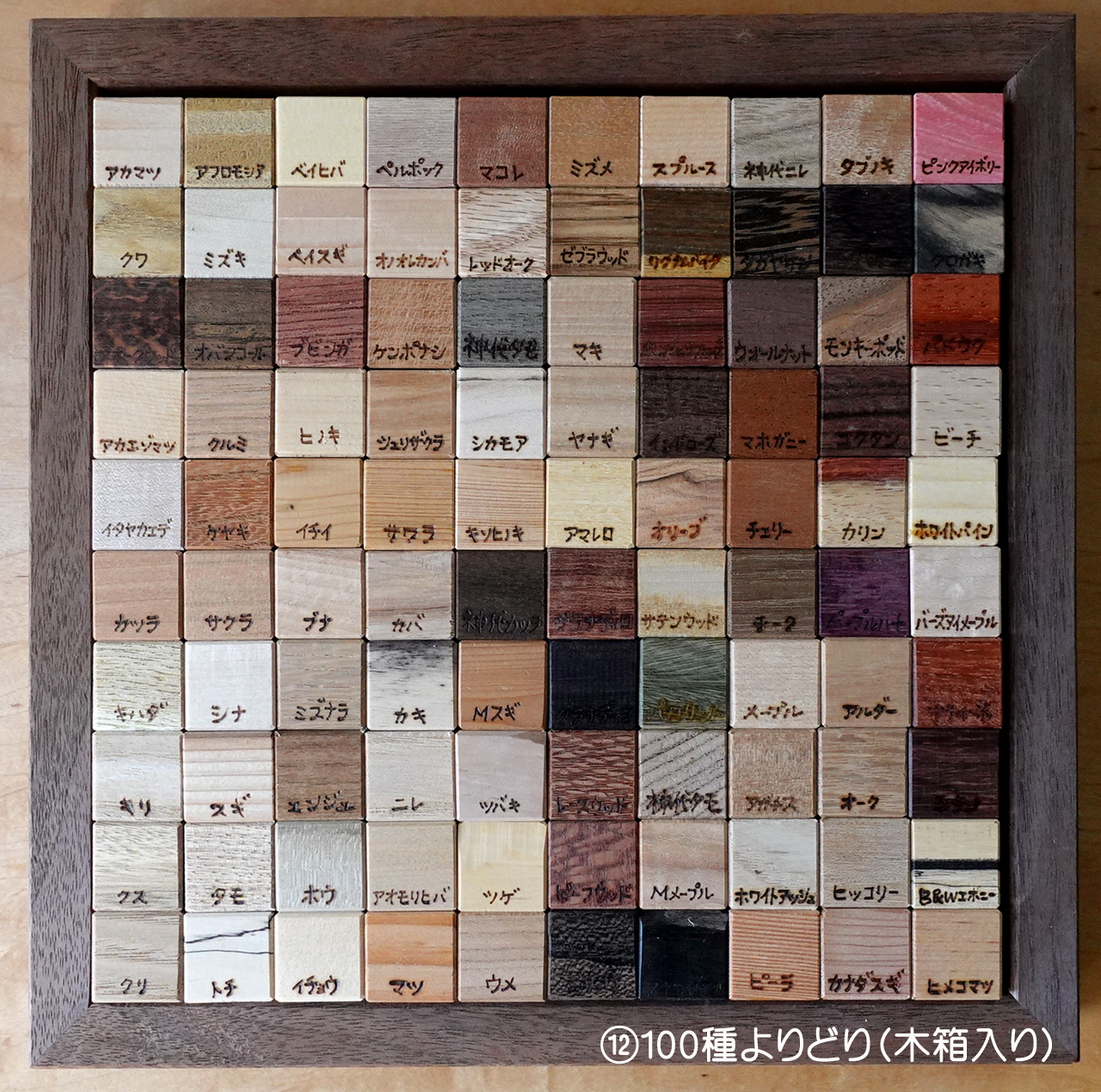 木の見本・樹種サンプル