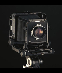 トヨ of ワイズクリエイト