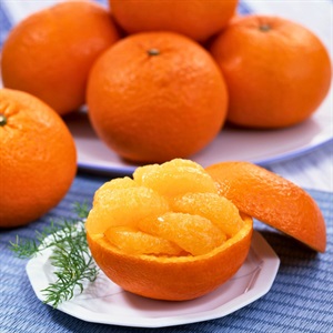 紅甘夏 4月中旬発送開始 | 全農食品オンラインショップ