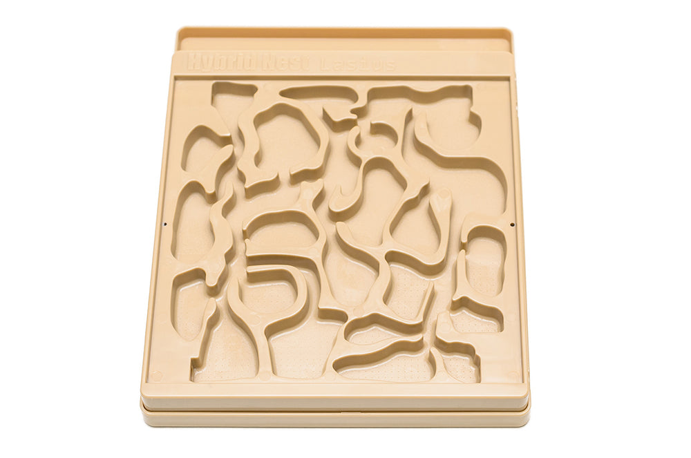 Lasius Hybrid Nest™ 2.0 – AntsCanada
