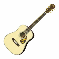 Aria Dreadnought | Acoustic Guitars | Products | ARIA 荒井貿易株式