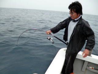 ジギングロッド ブリ ヒラマサ