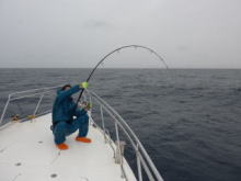 コーラル バイパー CV GTロッド