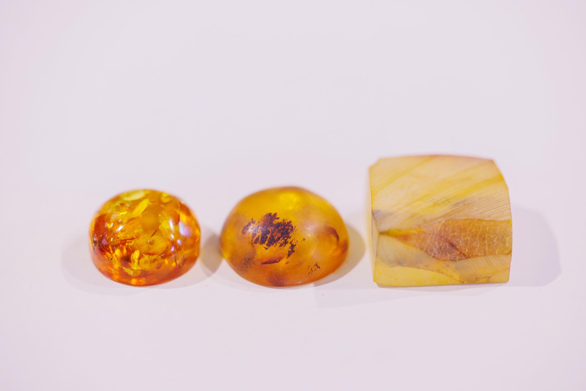 久慈琥珀／久慈市