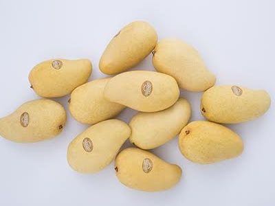 チョークアナンマンゴー クラシックハナ