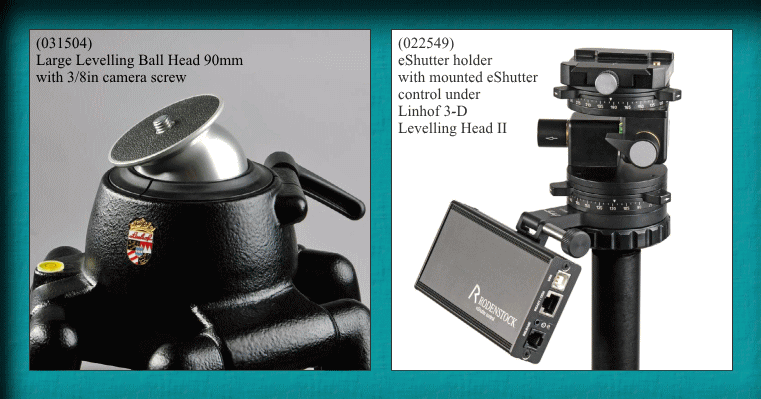 PHOTO OFFICE CLIQUE(CLUB CLIQUE)