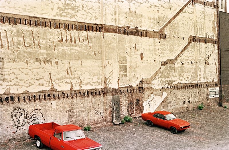 ART-PRESENTATION: William Eggleston-The Democratic Forest