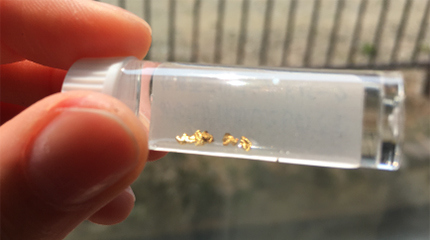 佐渡西三川ゴールドパーク