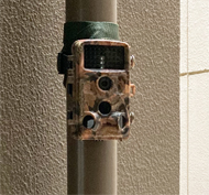 富士倉トレイルカメラ高解像度FTC－002・と低価格でも高性能FTC