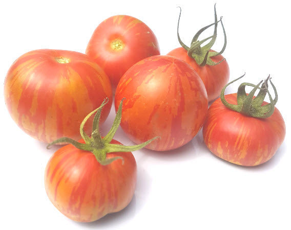Red Zebra Tomato – Glen Seeds