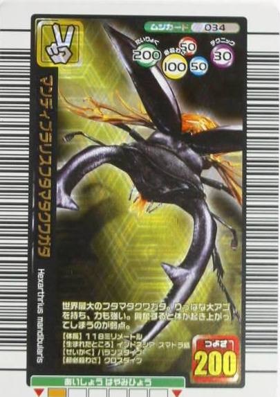 旧ムシキングカード 値下げしました 旧ムシキングカード 値下げしま