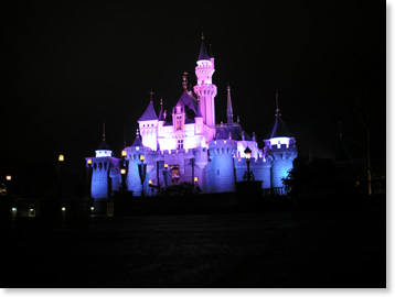 FRASERDESING 眠れる森の美女　ディズニー　レトロ　シンデレラ城モデル 眠れる森の美女のお城のモデルは？歴史や世界のディズニーパーク